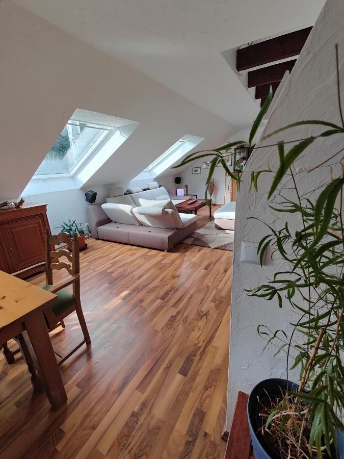 Komfort Ferienwohnung Biene Saarbrücken Esterno foto